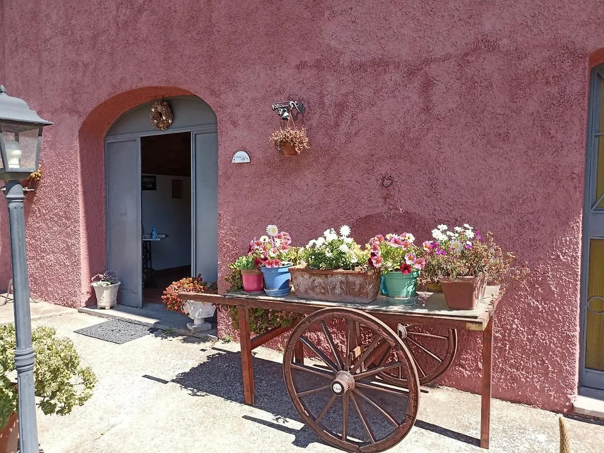 Il Baffetto B&B Roma Italia
