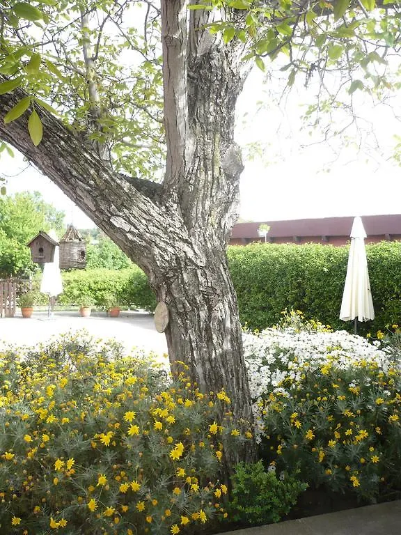 *** Bed and breakfast Il Baffetto B&B Roma Italia