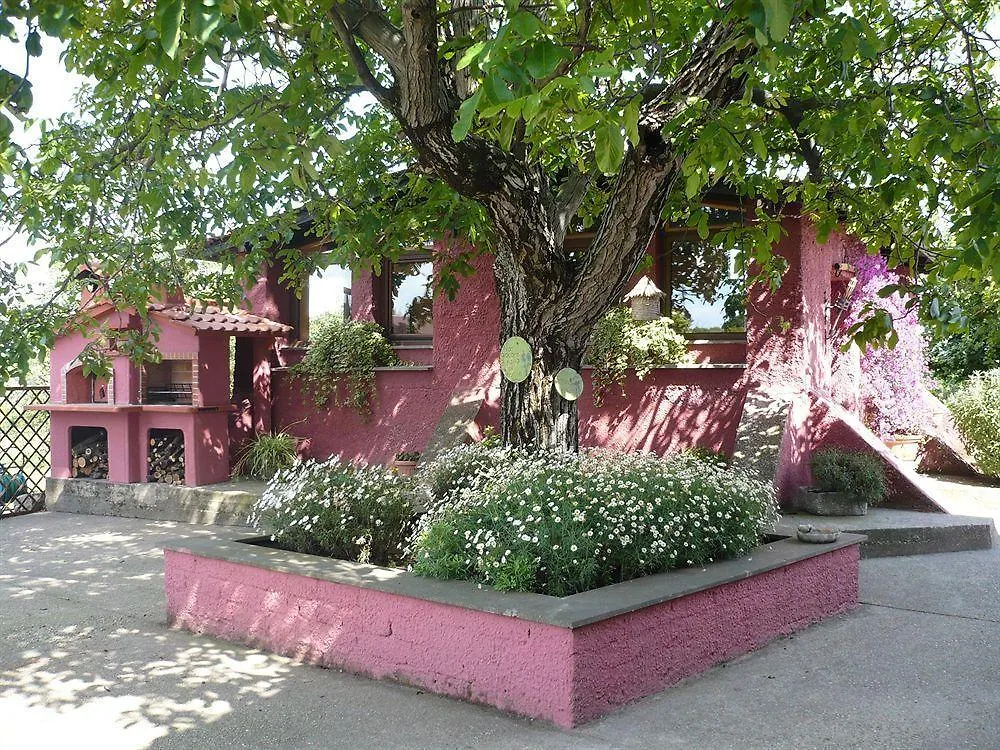 Il Baffetto B&B Roma Bed and breakfast